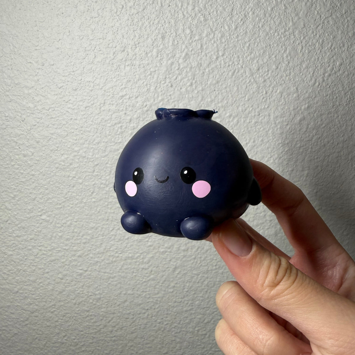 Blueberry Buddy