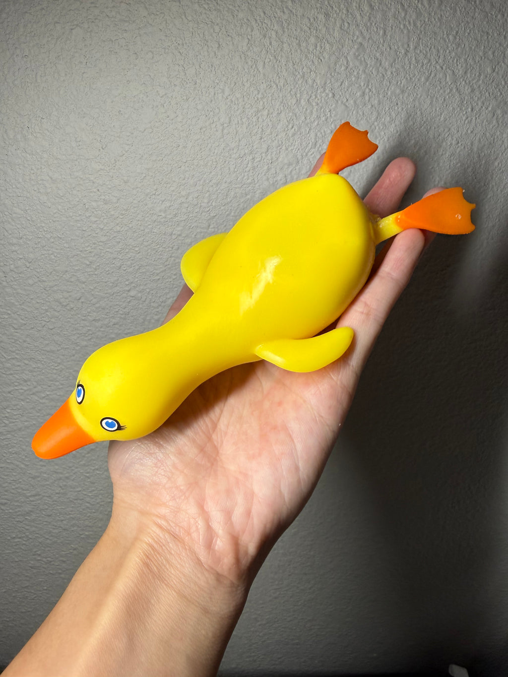 Sleepy Duck