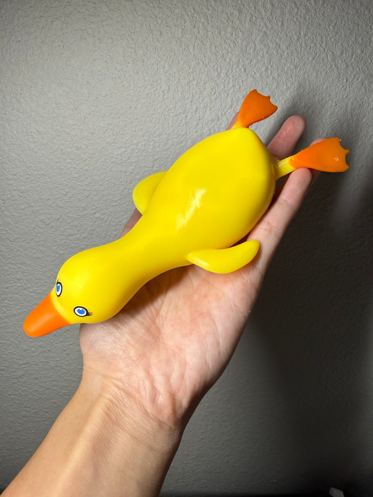 Sleepy Duck