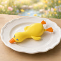 Sleepy Duck